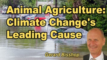 Lecture 33 - Gerard Bisshop - Animal agriculture is the leading cause of climate change