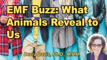 Lecture 86 - Devra Davis, Ph.D., M.P.H. - Latest Buzz about EMF: What the animals are trying to tell us, and what to do about it