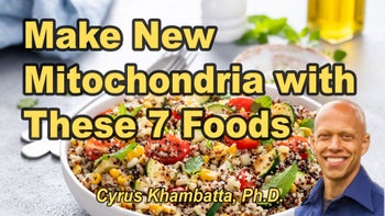 Lecture 74 - Cyrus Khambatta, Ph.D. - 7-Foods-to-Make-New-Mitochondria (and Double Your Energy)