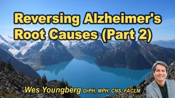 Lecture 101 - Wes Youngberg DrPH, MPH, CNS, FACLM - Ten Steps in Testing for and Reversing the Underlying Causes of Alzheimer's - Part 2