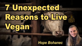 Lecture 87 - Hope Bohanec - 7 Reason to Live Vegan (That You May Not Have Thought Of)