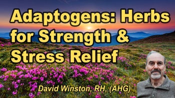 Lecture 43 - David Winston, RH (AHG) - ADAPTOGENS, HERBS FOR STRENGTH, STAMINA AND STRESS RELIEF