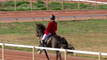 Tävlingsskolan del 2: Tölt T1 – Tempoväxlingar