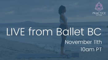 Tuesday, November 11th, 10am PT - ZOOM