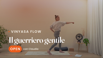 Il guerriero gentile