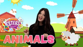 Morah Ester - Animals