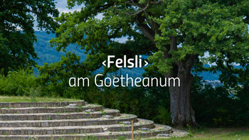 «Felsli» am Goetheanum