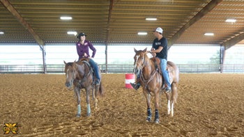 Abby Fields and Andre Renata Coelhoe Discuss Barrel Horse Pedigrees
