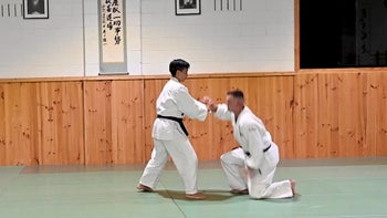 Nikajo Variations - Taught by Enrica Cheung Sensei 