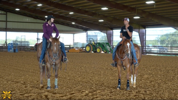 Abby Fields Performance Horses Featuring Andre Renata Coelho