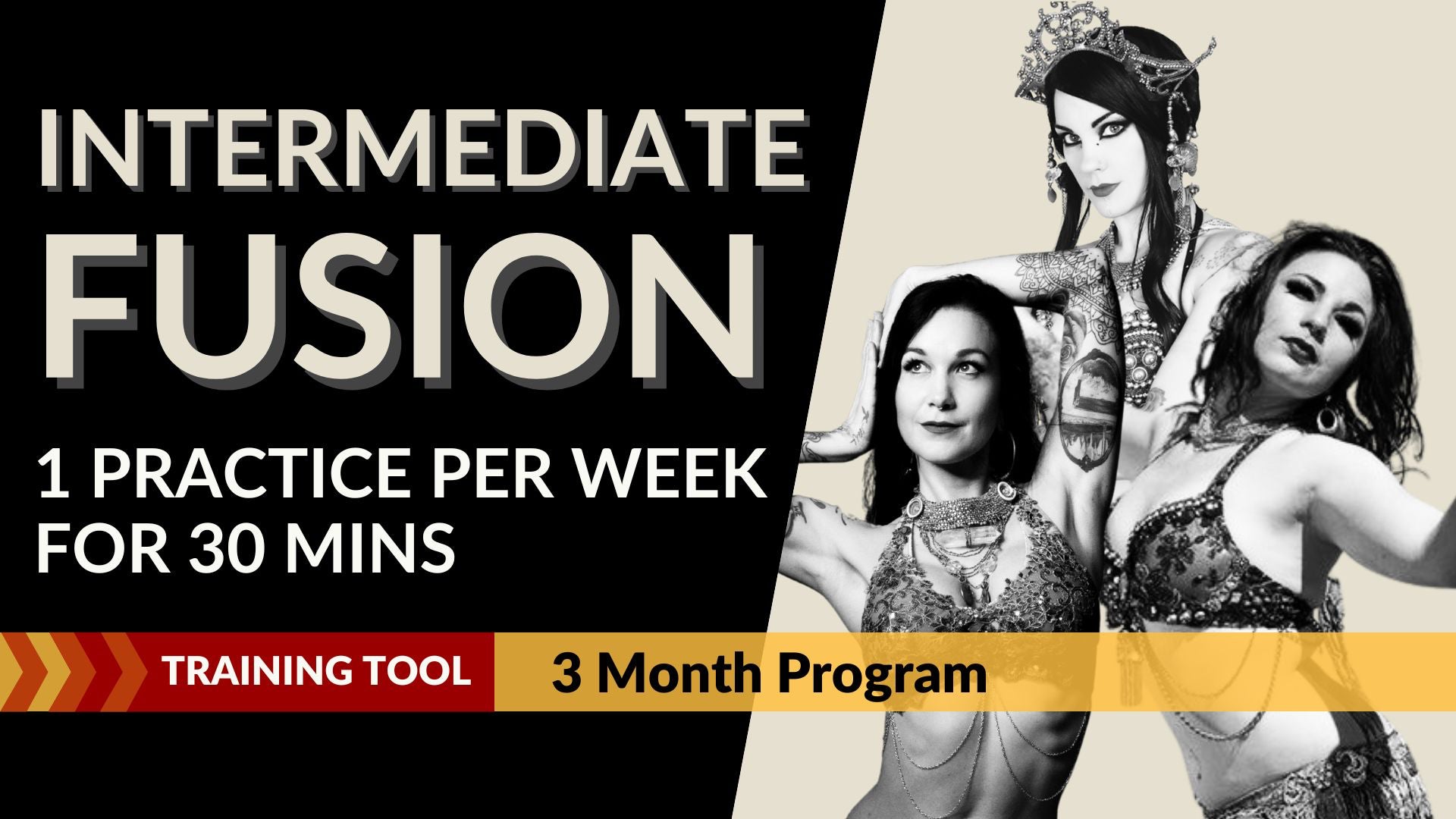 zoeページ Zoe Tour+ XL1 Stroller - Little Beach Bum - Baby Gear Rentals