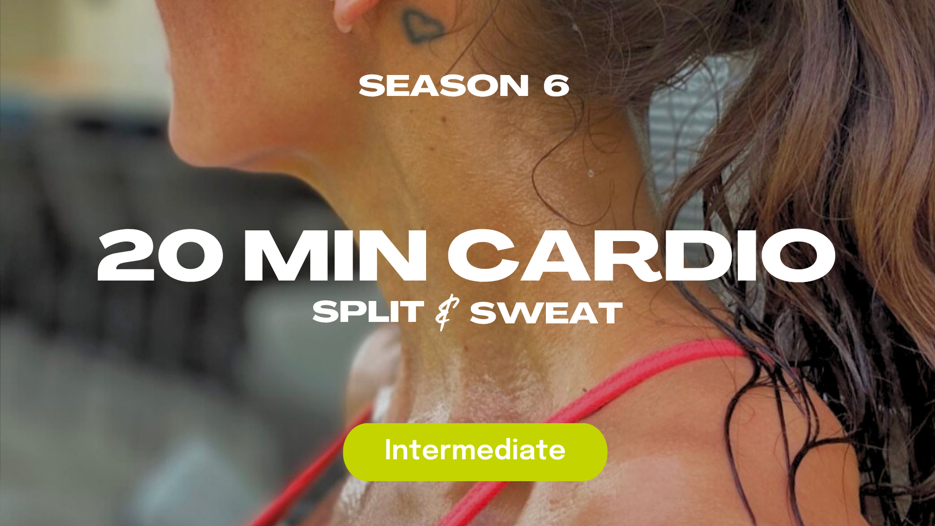Split & Sweat - Season 6 - 30 Day Program