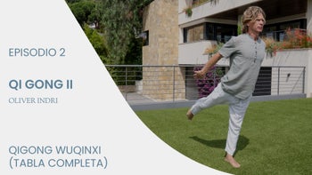 Qi Gong II con Oliver Indri | E.2. Qigong Wuqinxi (tabla completa)