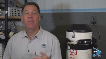 Procedura GUE EDGE: la sequenza pre-immersione per la sicurezza e l'efficacia