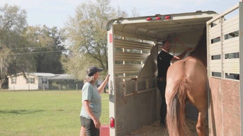 Lesson 3 — Penny & Ruger — Tik Maynard Teaches Trailering 101
