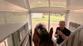 Lesson 3 — Megs & Yogi — Tik Maynard Teaches Trailering 101