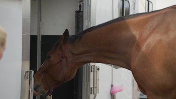 Lesson 2 — Megs & Yogi — Tik Maynard Teaches Trailering 101