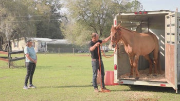 Lesson 2 — Penny & Ruger — Tik Maynard Teaches Trailering 101