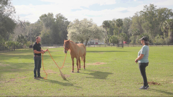 Lesson 1 — Penny & Ruger — Tik Maynard Teaches Trailering 101
