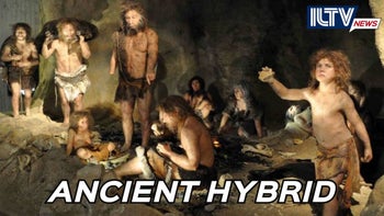 Israeli Fossil Pushes Back Human-Neanderthal Interbreeding by 100,000 Years