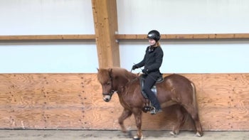 Putsa upp knapparna i början av ditt ridpass