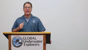 Gasnarkose: Symptome, Risiken und der Umgang mit narkotisierenden Gasen beim Tau