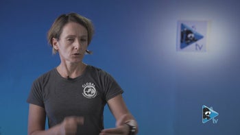 Strumenti per la comunicazione subacquea: segnali manuali, luce, tatto e suono