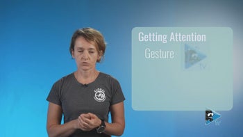 Effektive Unterwasserkommunikation: Vorbereitung, Aufmerksamkeit und Umsetzung