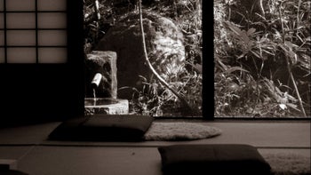 Making Friends With Fear | The Soft Business Circle 