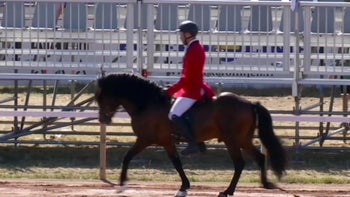 Del 4: Skritt - viktigaste gångarten