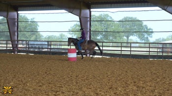 Abby Fields Working a 3-Year-Old Colt by The Goodbye Lane 