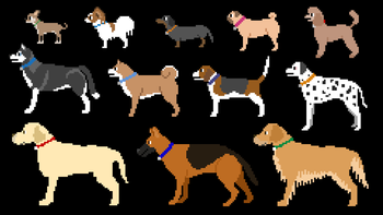 Dog Breeds