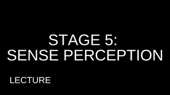 3.13 Stage 5: Sense Perception Lecture with Kelsey