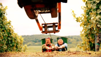 The Science of Wine: Are Old Wines Better than Young Wines?