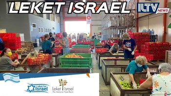 Leket Israel Rescues Food to Feed Families This Rosh Hashanah