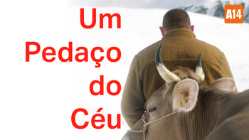 Um Pedaço do Céu