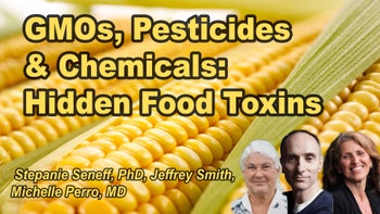 Panel 41 - Unmasking Modern Food Toxins: Exploring the Impact of GMOs, Pesticides, and Chemicals on Health