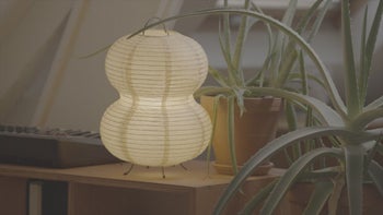 Day 148, September 27th. A brain workshop