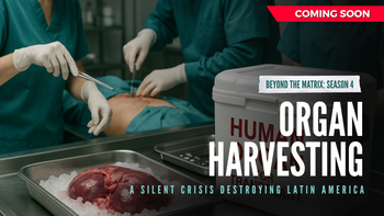 BTM S4E9 | Organ Harvesting COMING SOON