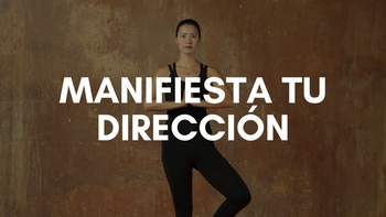 Bundle manifiesta tu dirección