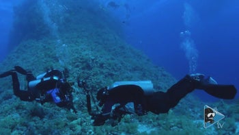 팀 내 심리적 안전을 구축하는 네 가지 핵심 요소와 리더의 역할