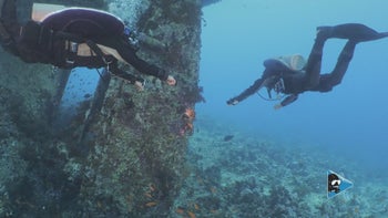 수중에서 효과적인 느린 커뮤니케이션의 중요성과 실천 방법