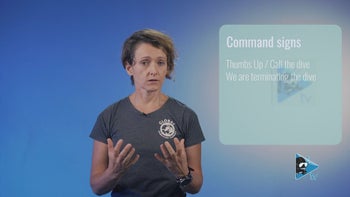 손 신호의 일반적 분류와 명령, 비상, 정보 신호의 역할