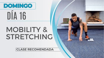 Calendario Mensual - 16/11/25 - Body Strong