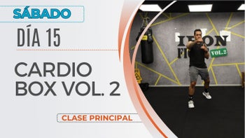 Calendario Mensual - 15/11/25 - Iron Fight Vol. 2