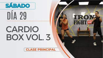 Calendario Mensual - 29/11/25 - Iron Fight Vol. 3