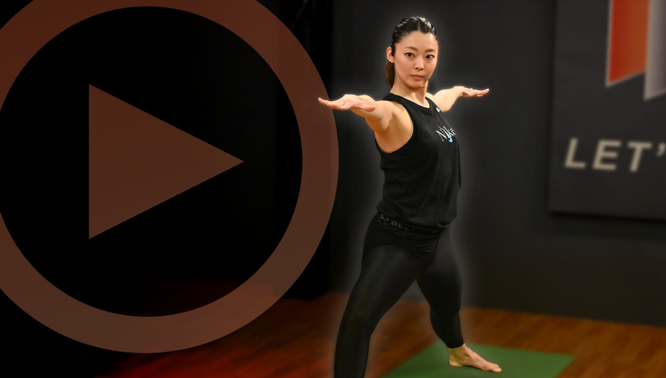 MOSSA MOVE | MOSSA MOVE