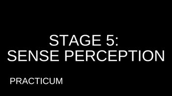 3.14 Stage 5: Sense Perception Practicum with Kelsey