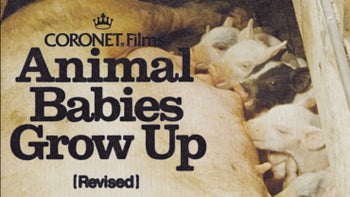 Animal Babies Grow Up [Revised] (1983)