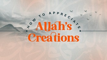 How to Appreciate Allah's Creation